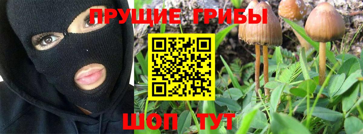 Псилоцибиновые грибы Psilocybine cubensis  Вход с VPN  Кимовск 